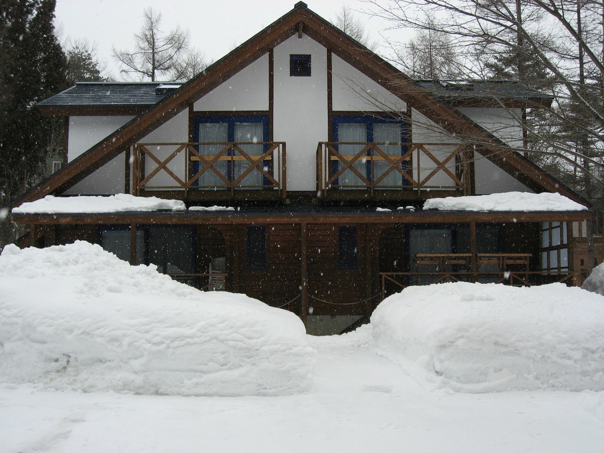 Hakuba Megeve Villa Екстериор снимка
