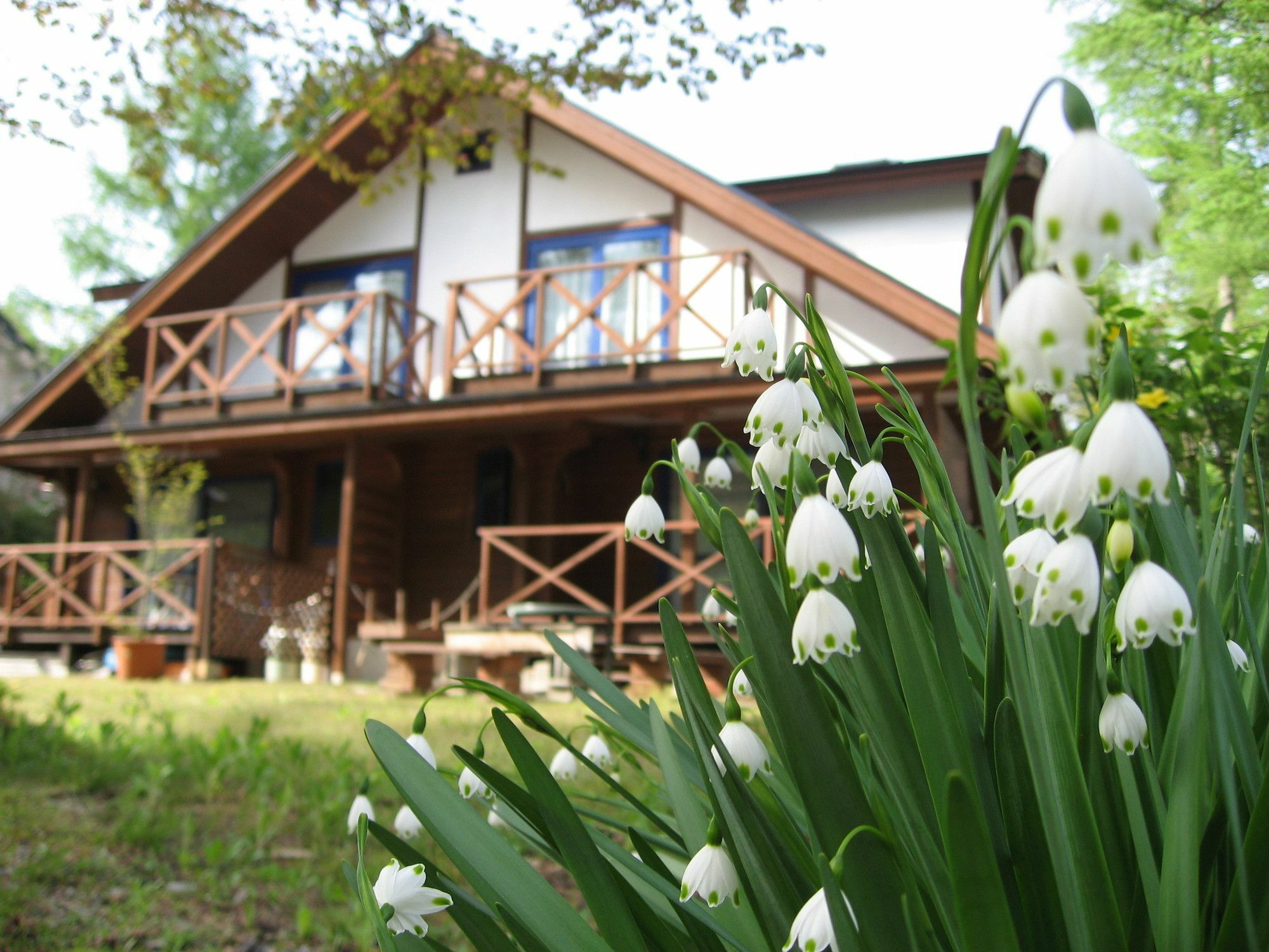 Hakuba Megeve Villa Екстериор снимка